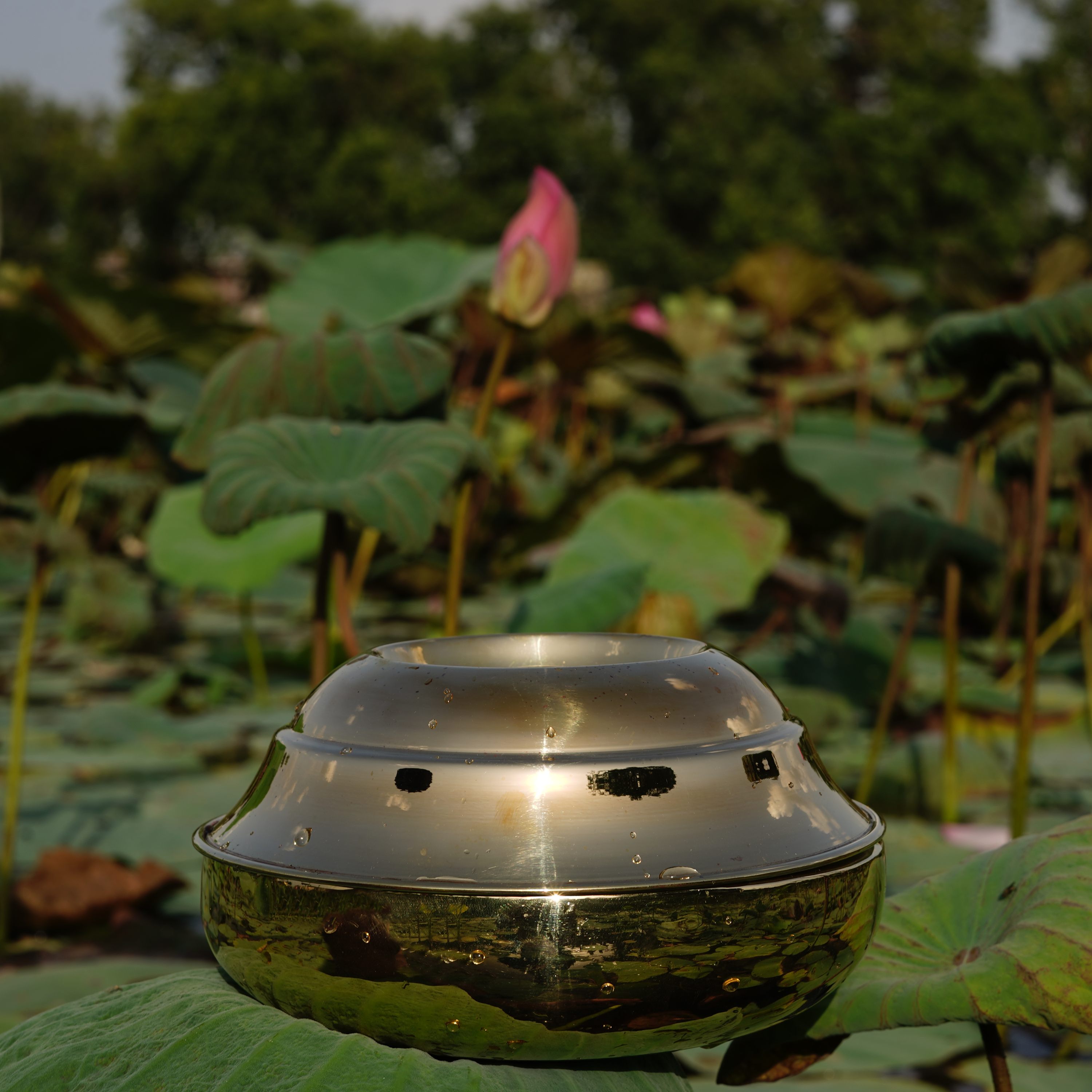 Crescent Bowl
