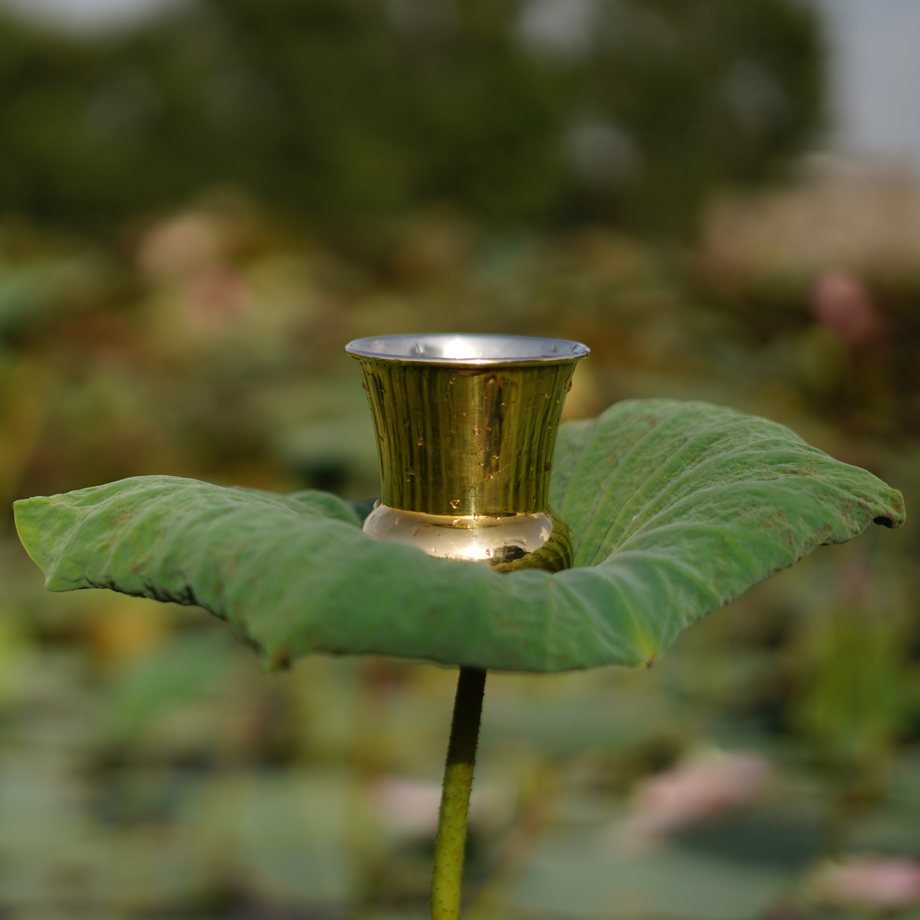 Crescent Tumbler- Set of Two
