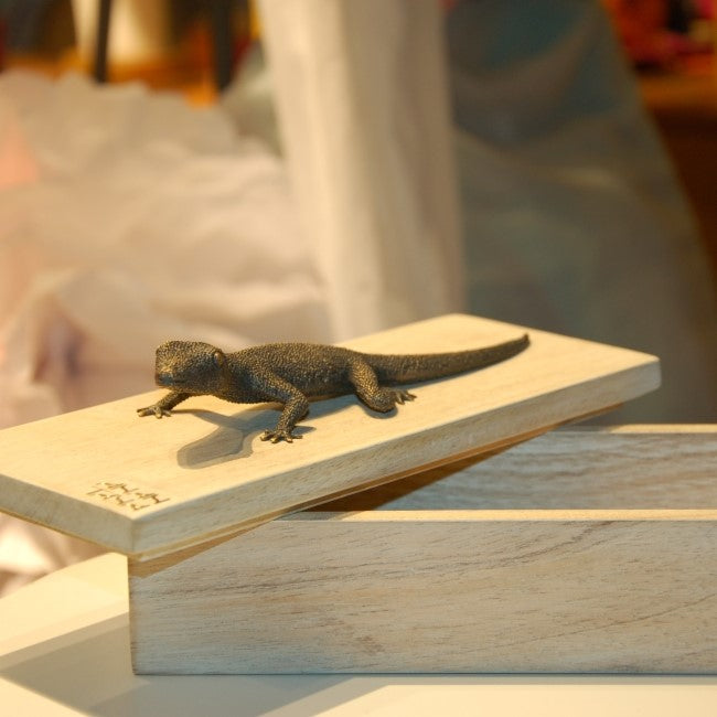 Gecko Bottle Opener