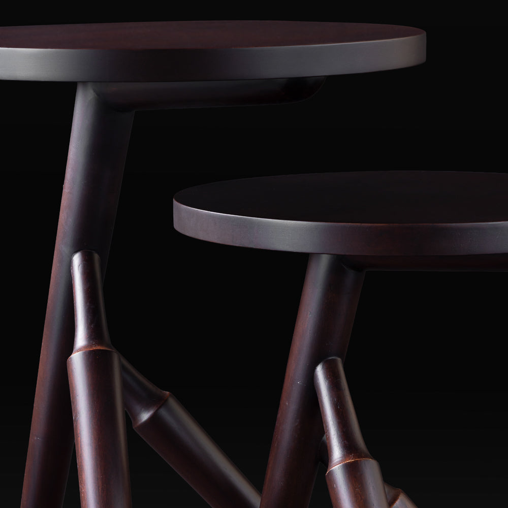 Ranthambore Nesting Table Set of 2