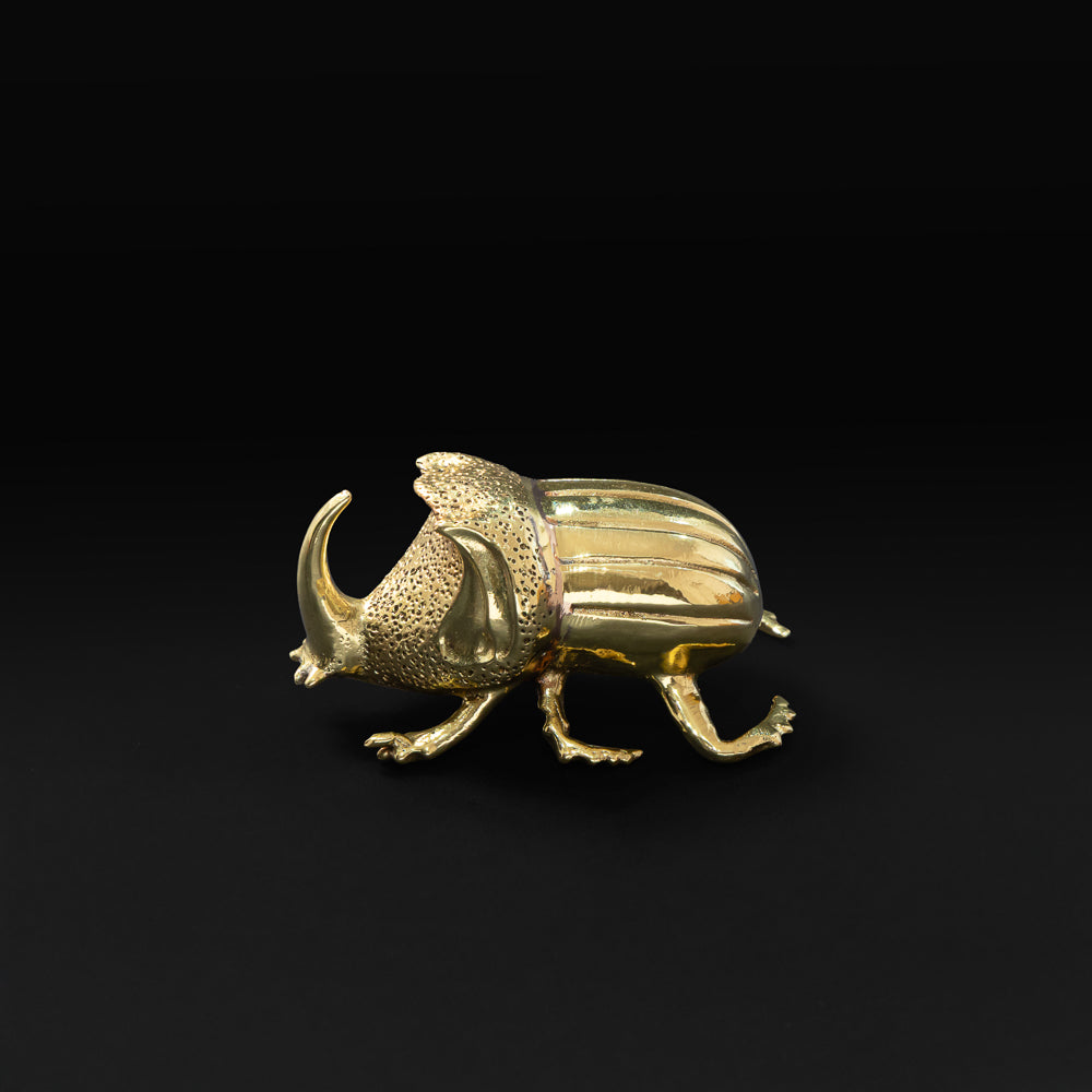 Rhinoceros Beetle Bottle Opener