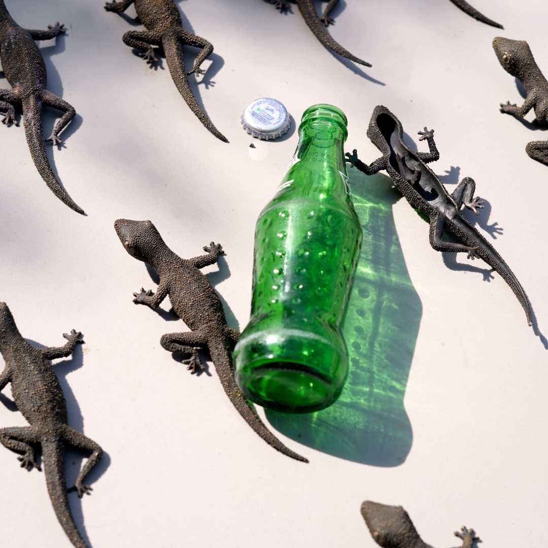bottle opener, gecko, artistic
