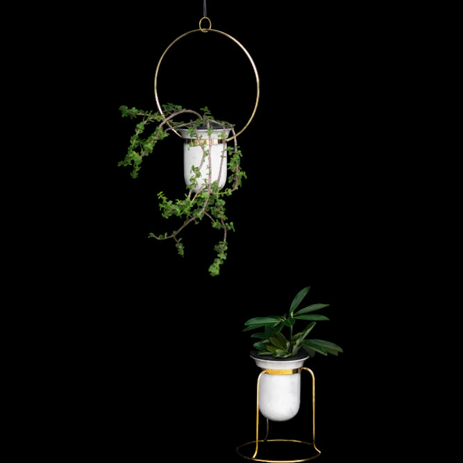 Birbal Planter