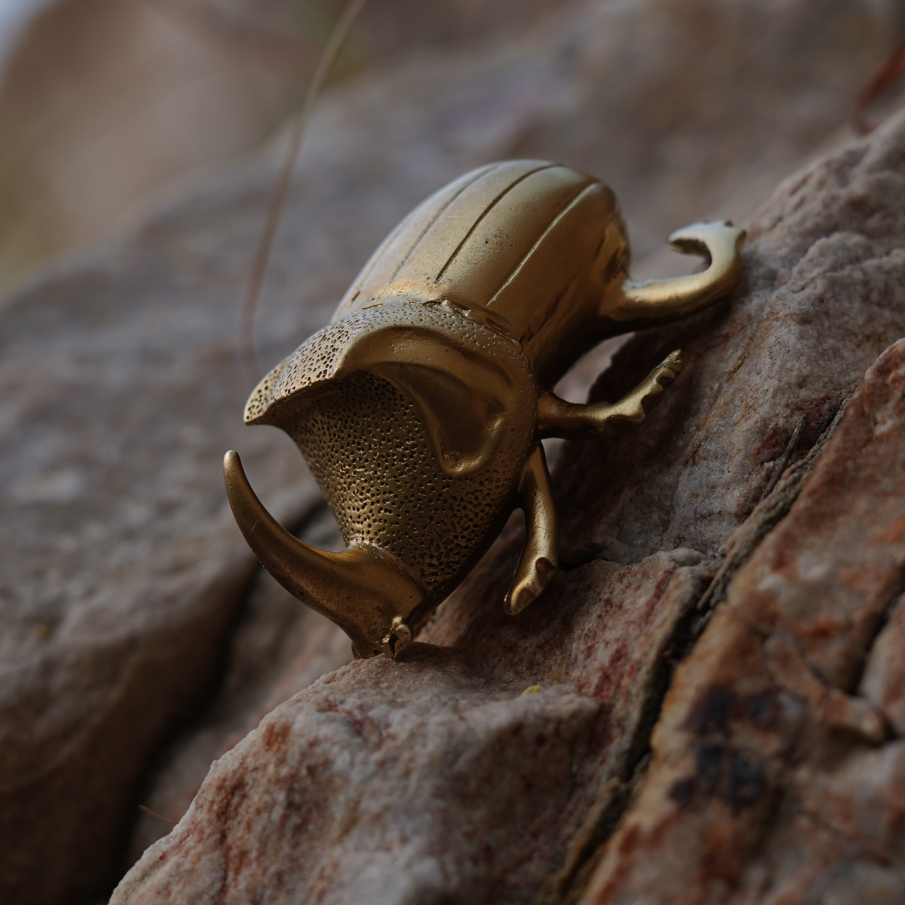 Rhinoceros Beetle Bottle Opener Home Objects Dining Kitchen All Genders