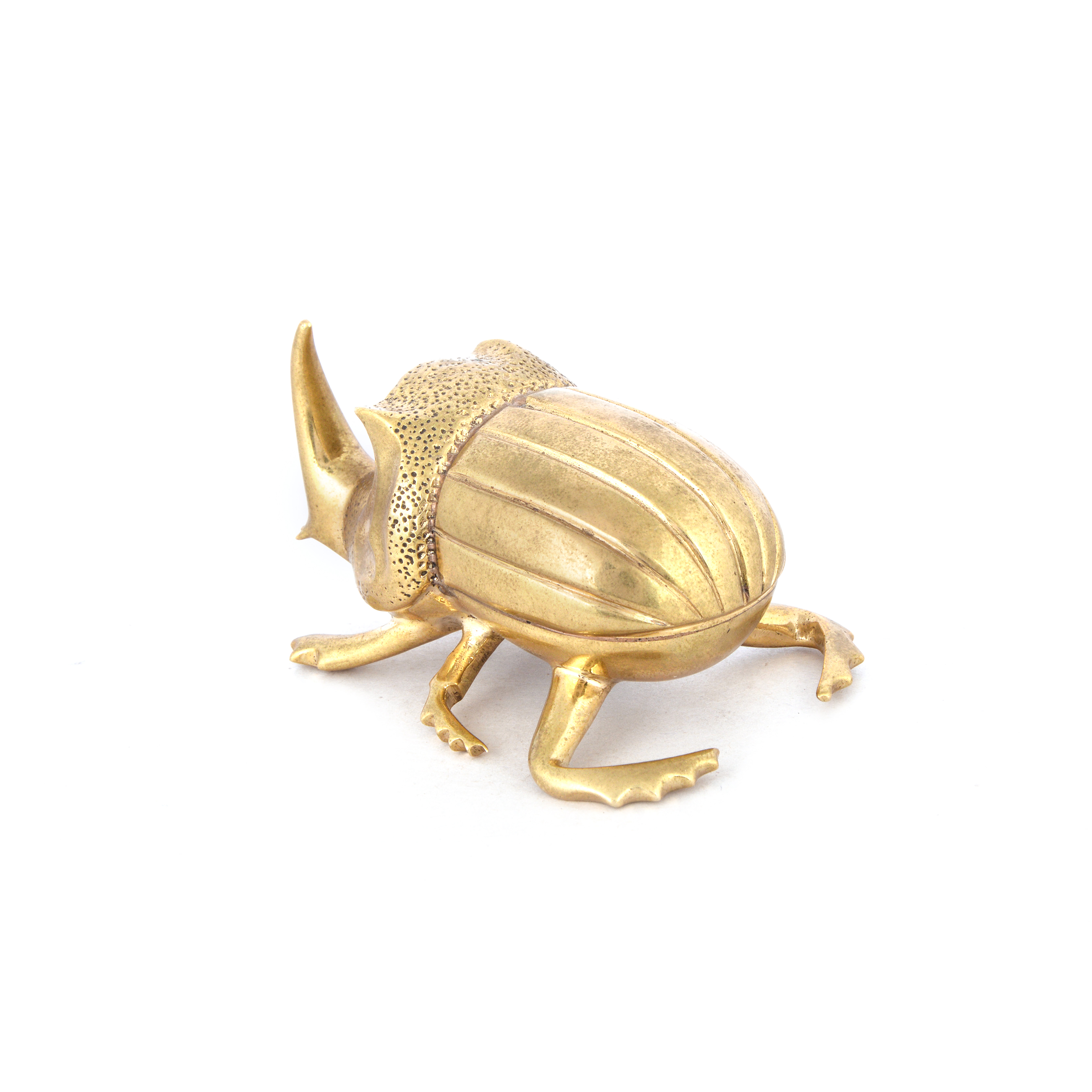 Rhinoceros Beetle Bottle Opener Home Objects Dining Kitchen All Genders
