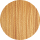 Beech Wood