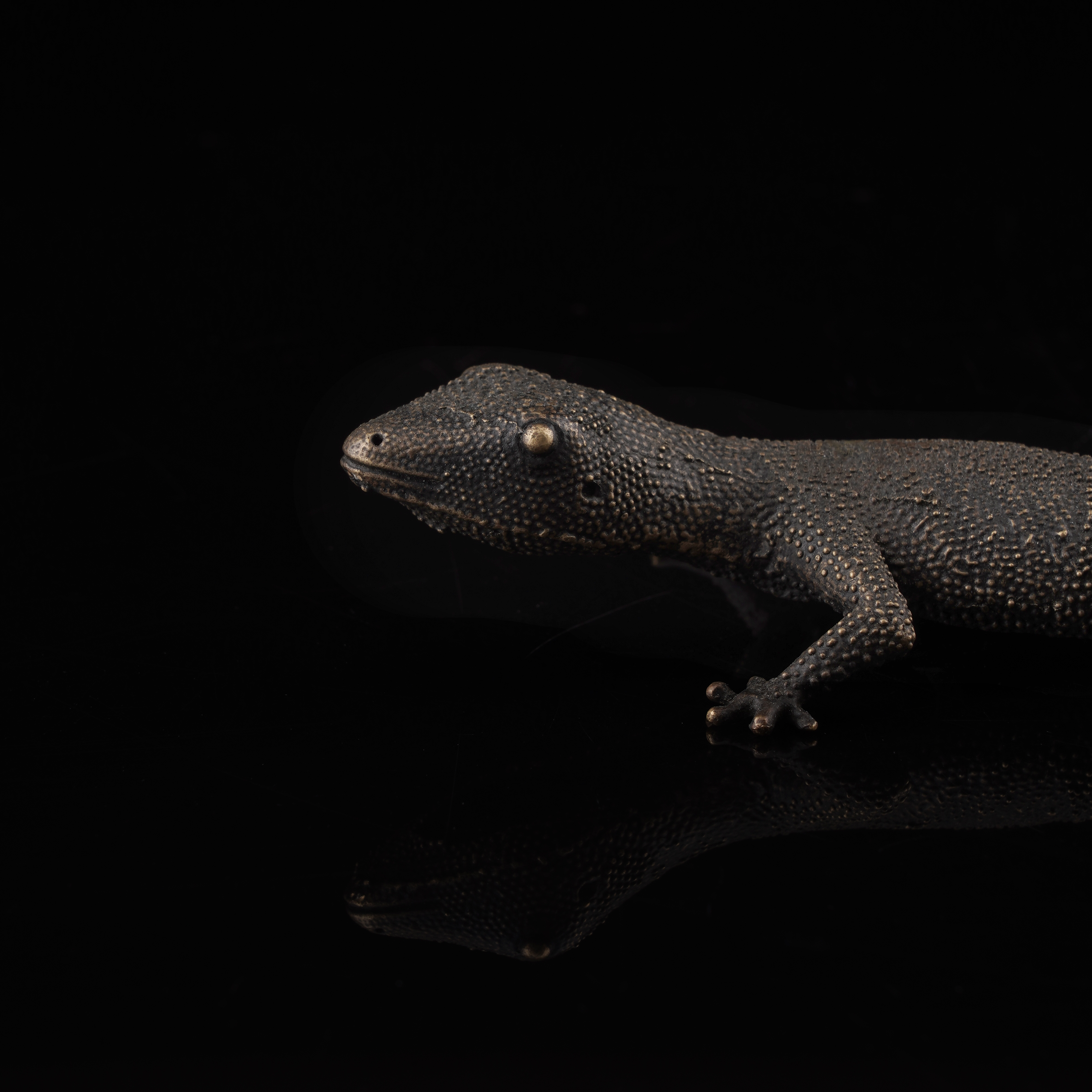Gecko Bottle Opener