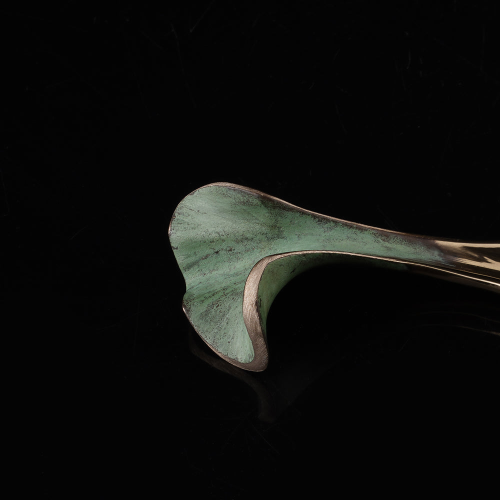 Ginko Brass Spoon Set of 2