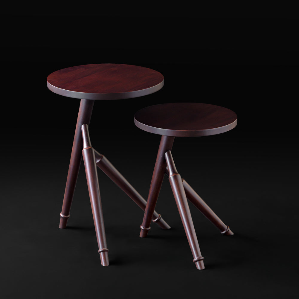 Ranthambore Nesting Table Set of 2
