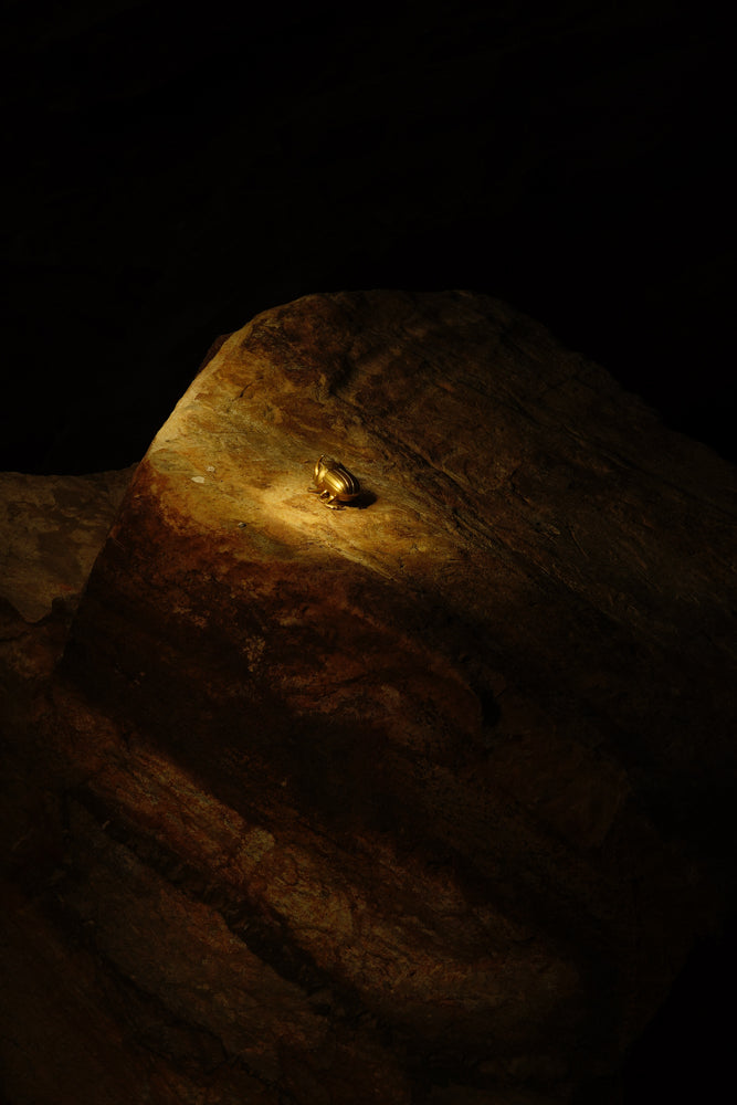 Rhinoceros Beetle Bottle Opener