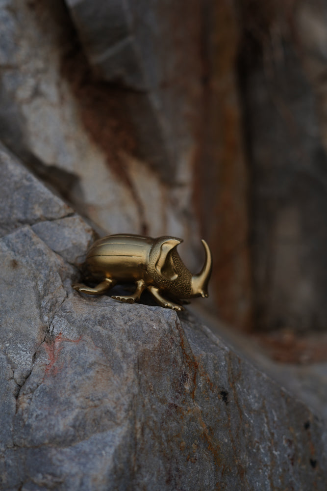 Rhinoceros Beetle Bottle Opener