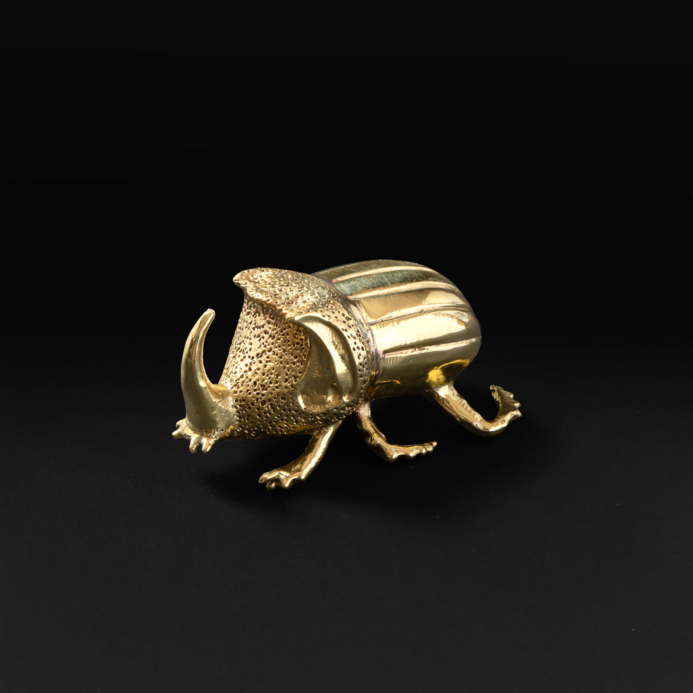 Rhinoceros Beetle Bottle Opener