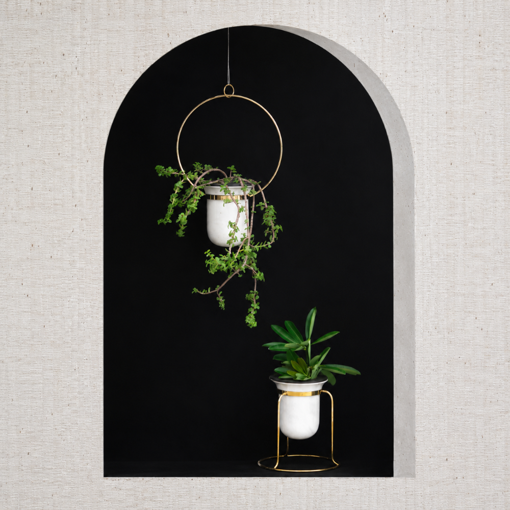 Birbal Planter