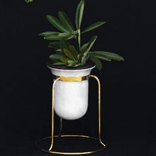 Birbal Planter- Tabletop , Outdoors , Planters , Stone Turning, plant, tabletop plant, best planter for home