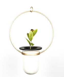 Birbal Planter