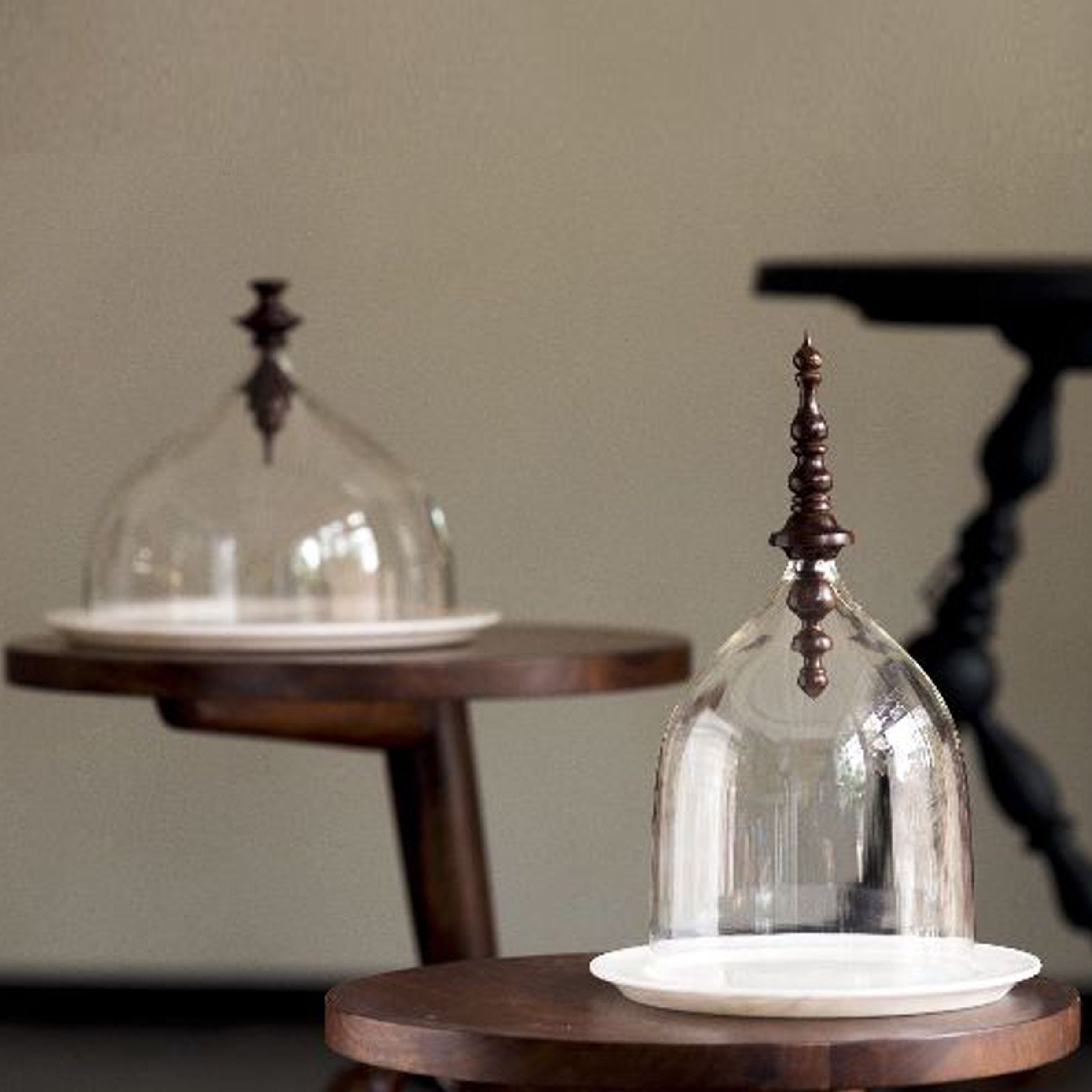 Closh  Home Objects , Dining , Serving, glass sheesham wood Table top, glass transparent closh