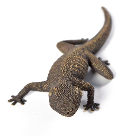 bottle opener, gecko, artistic