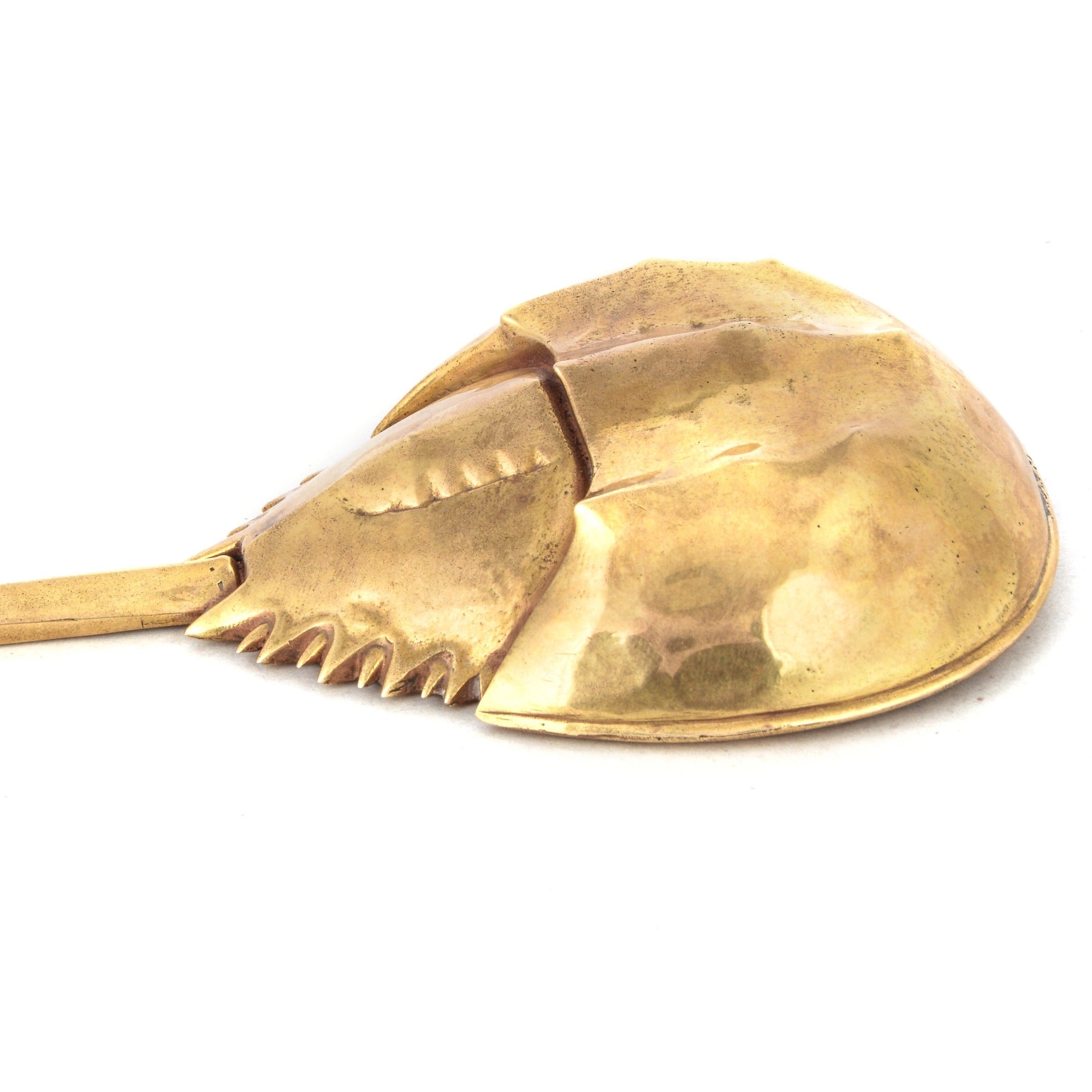 Horseshoe Crab Bottle Opener, handcrafted, handmade