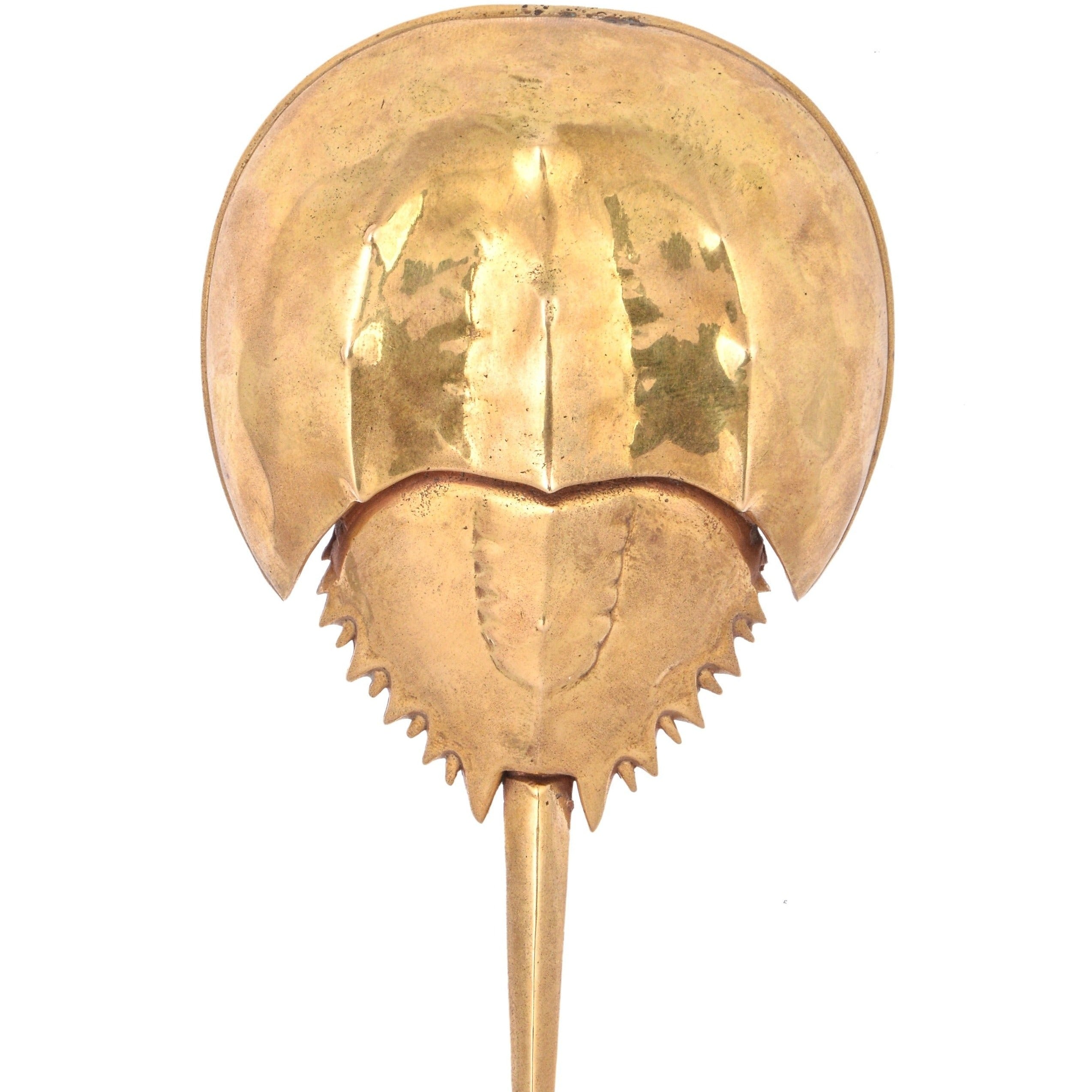 Horseshoe Crab Bottle Opener, handcrafted, handmade