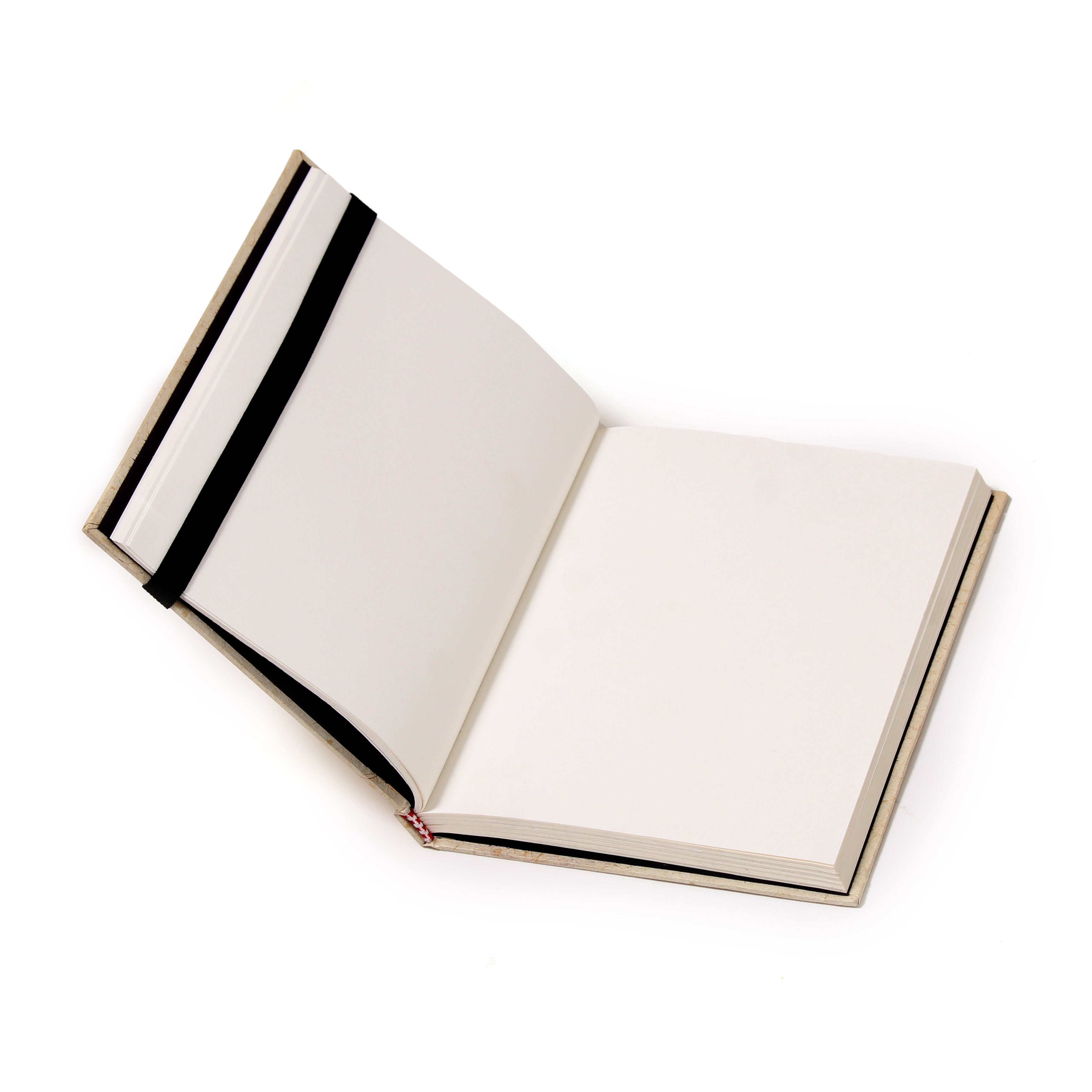 Shala Mohar Diary