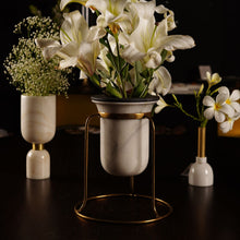 Birbal Planter- Tabletop , Outdoors , Planters , Stone Turning, plant, tabletop plant, best planter for home
