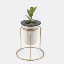 Birbal Planter- Tabletop , Outdoors , Planters , Stone Turning, plant, tabletop plant, best planter for home